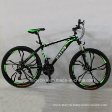 Hot Sale MTB Aluminum Alloy Mountain Bike (FP-MTB-A078)